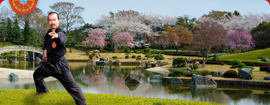 Grandmaster Shoto Tanemura and japanese gardens
